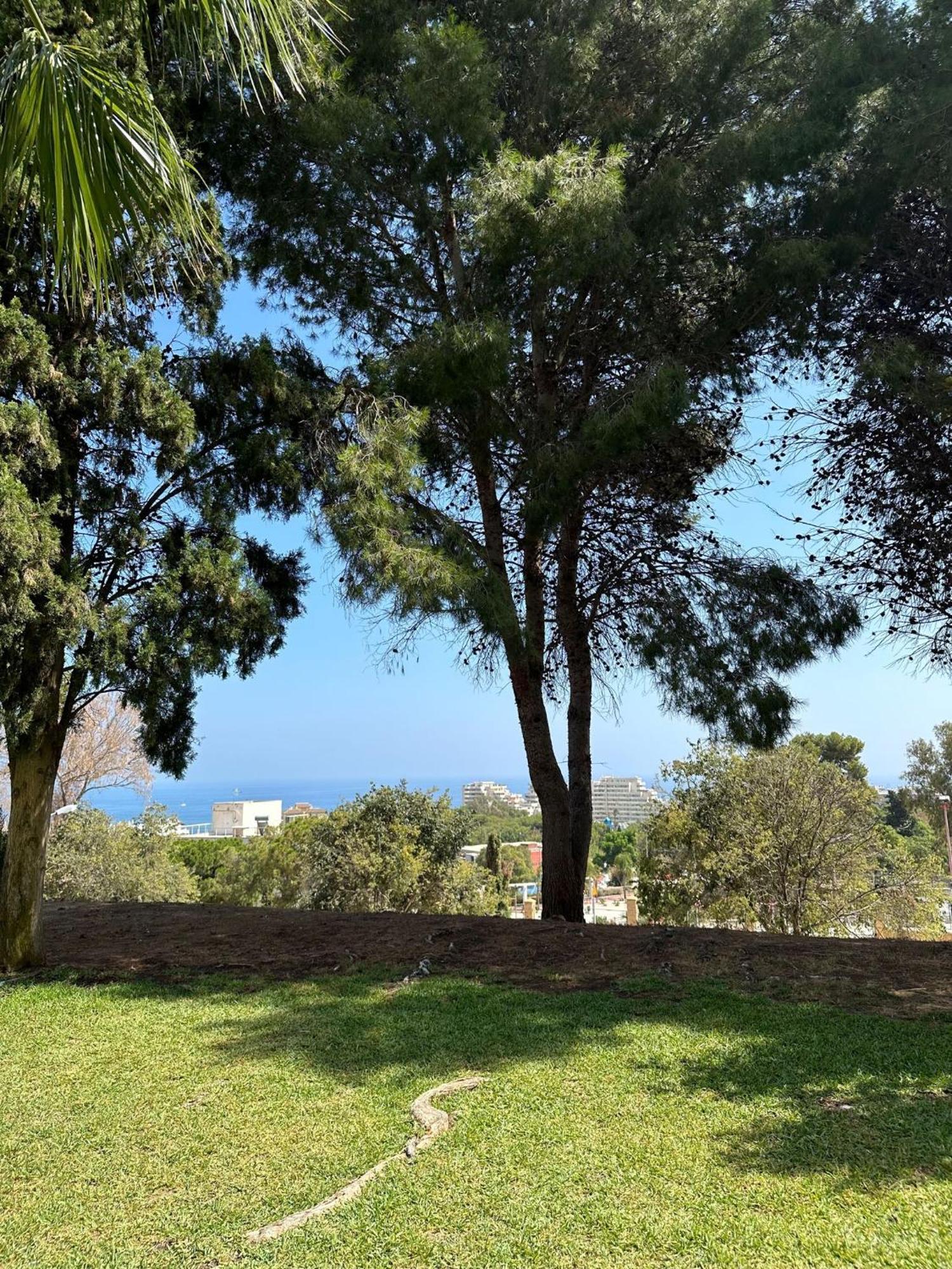 Benalmadena Gamonal Διαμέρισμα Μάλαγα Εξωτερικό φωτογραφία